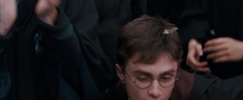 Click to view full size image
==============
OdF-Potterish_7085.jpg OdF-Potterish_7085.jpg