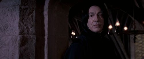 OdF-Potterish_7289.jpg