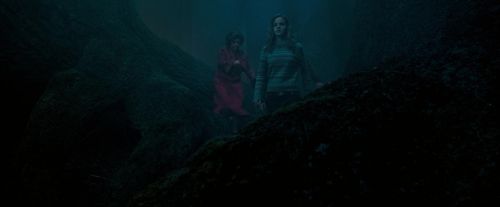 OdF-Potterish_7359.jpg