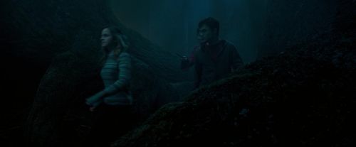OdF-Potterish_7362.jpg
