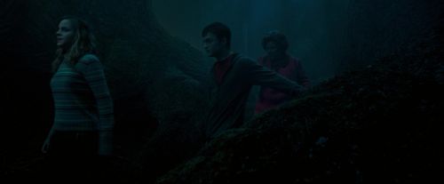 Click to view full size image
==============
OdF-Potterish_7363.jpg OdF-Potterish_7363.jpg