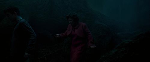 OdF-Potterish_7366.jpg