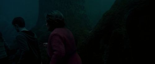 Click to view full size image
==============
OdF-Potterish_7370.jpg OdF-Potterish_7370.jpg