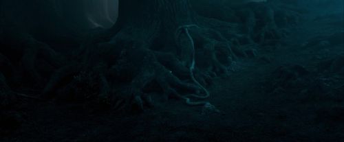 Click to view full size image
==============
OdF-Potterish_7379.jpg OdF-Potterish_7379.jpg