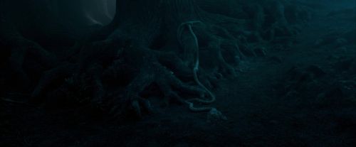 Click to view full size image
==============
OdF-Potterish_7380.jpg OdF-Potterish_7380.jpg