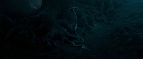 OdF-Potterish_7381.jpg