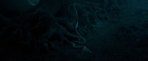 OdF-Potterish_7382.jpg
