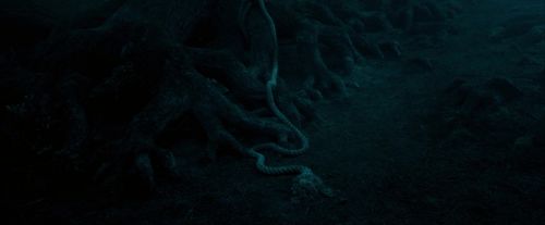 OdF-Potterish_7383.jpg