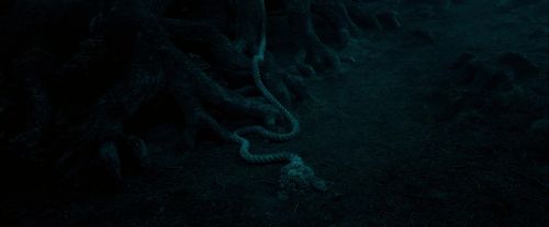 Click to view full size image
==============
OdF-Potterish_7384.jpg OdF-Potterish_7384.jpg