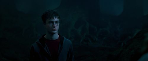 OdF-Potterish_7398.jpg