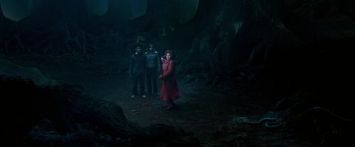 Click to view full size image
==============
OdF-Potterish_7423.jpg OdF-Potterish_7423.jpg