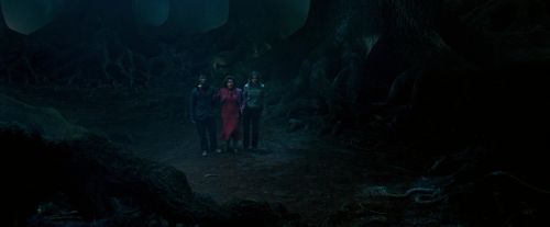 Click to view full size image
==============
OdF-Potterish_7428.jpg OdF-Potterish_7428.jpg
