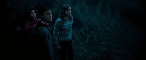 OdF-Potterish_7436.jpg
