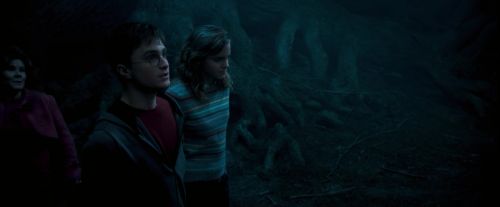 OdF-Potterish_7449.jpg