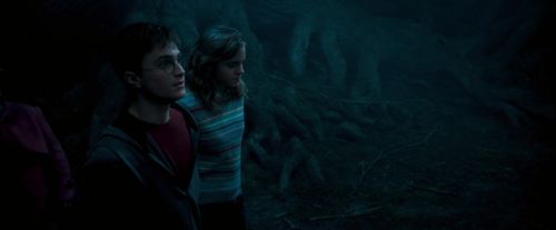 OdF-Potterish_7450.jpg