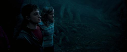 Click to view full size image
==============
OdF-Potterish_7452.jpg OdF-Potterish_7452.jpg