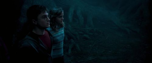 OdF-Potterish_7453.jpg