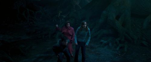 OdF-Potterish_7458.jpg