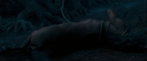 Click to view full size image
==============
OdF-Potterish_7475.jpg OdF-Potterish_7475.jpg