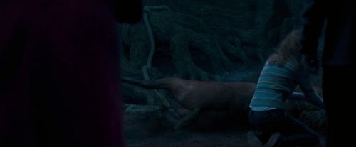 Click to view full size image
==============
OdF-Potterish_7478.jpg OdF-Potterish_7478.jpg