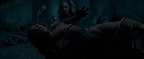 Click to view full size image
==============
OdF-Potterish_7479.jpg OdF-Potterish_7479.jpg