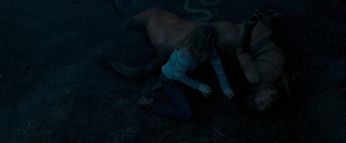 Click to view full size image
==============
OdF-Potterish_7480.jpg OdF-Potterish_7480.jpg