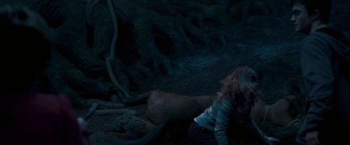 OdF-Potterish_7482.jpg