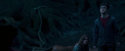 Click to view full size image
==============
OdF-Potterish_7490.jpg OdF-Potterish_7490.jpg