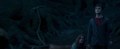 OdF-Potterish_7491.jpg