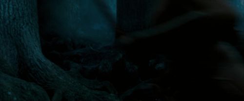 Click to view full size image
==============
OdF-Potterish_7500.jpg OdF-Potterish_7500.jpg