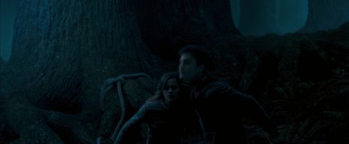 OdF-Potterish_7503.jpg