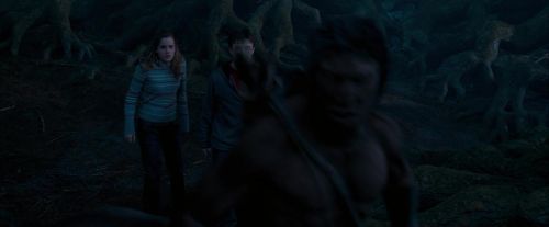 OdF-Potterish_7522.jpg
