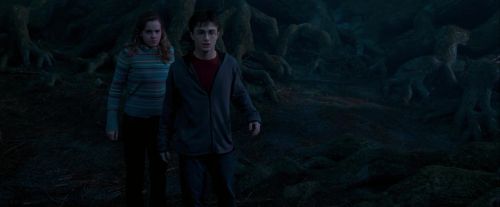 Click to view full size image
==============
OdF-Potterish_7523.jpg OdF-Potterish_7523.jpg