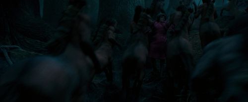 OdF-Potterish_7533.jpg