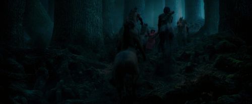 OdF-Potterish_7535.jpg
