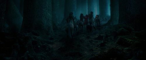 OdF-Potterish_7536.jpg