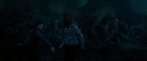 OdF-Potterish_7550.jpg