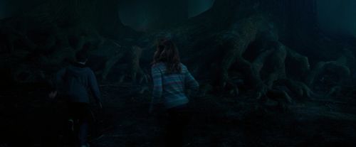 Click to view full size image
==============
OdF-Potterish_7551.jpg OdF-Potterish_7551.jpg