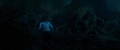 OdF-Potterish_7552.jpg