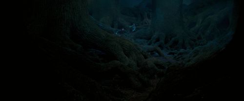 OdF-Potterish_7553.jpg