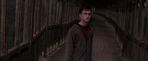 Click to view full size image
==============
OdF-Potterish_7596.jpg OdF-Potterish_7596.jpg