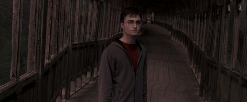 Click to view full size image
==============
OdF-Potterish_7597.jpg OdF-Potterish_7597.jpg