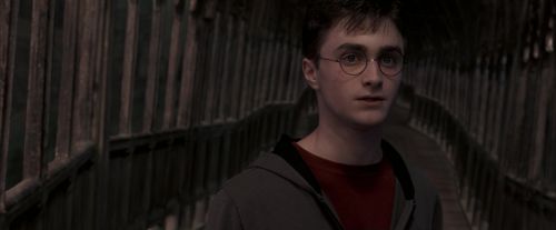OdF-Potterish_7609.jpg