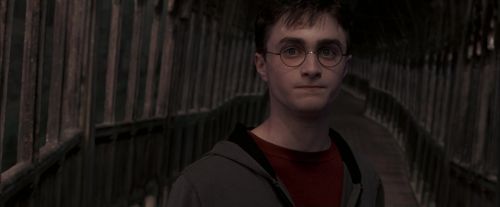 Click to view full size image
==============
OdF-Potterish_7611.jpg OdF-Potterish_7611.jpg