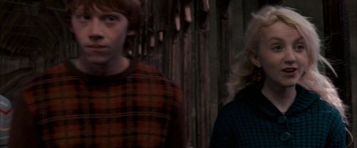Click to view full size image
==============
OdF-Potterish_7614.jpg OdF-Potterish_7614.jpg
