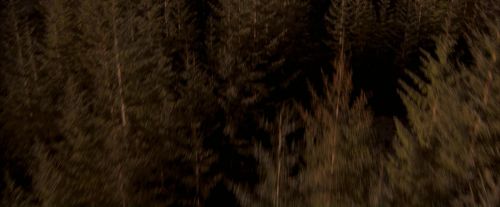 OdF-Potterish_7617.jpg