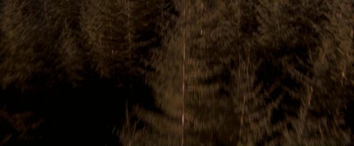 OdF-Potterish_7618.jpg