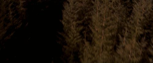 OdF-Potterish_7619.jpg