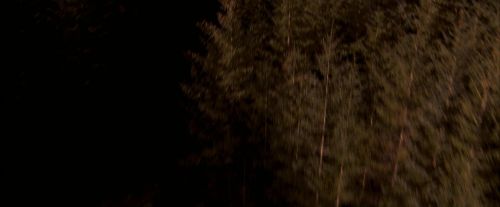 OdF-Potterish_7620.jpg
