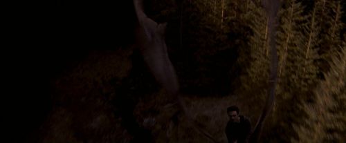 OdF-Potterish_7621.jpg